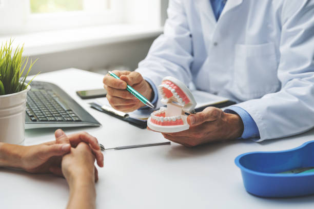 Professional Holistic Dental Care Services in Algonquin, IL